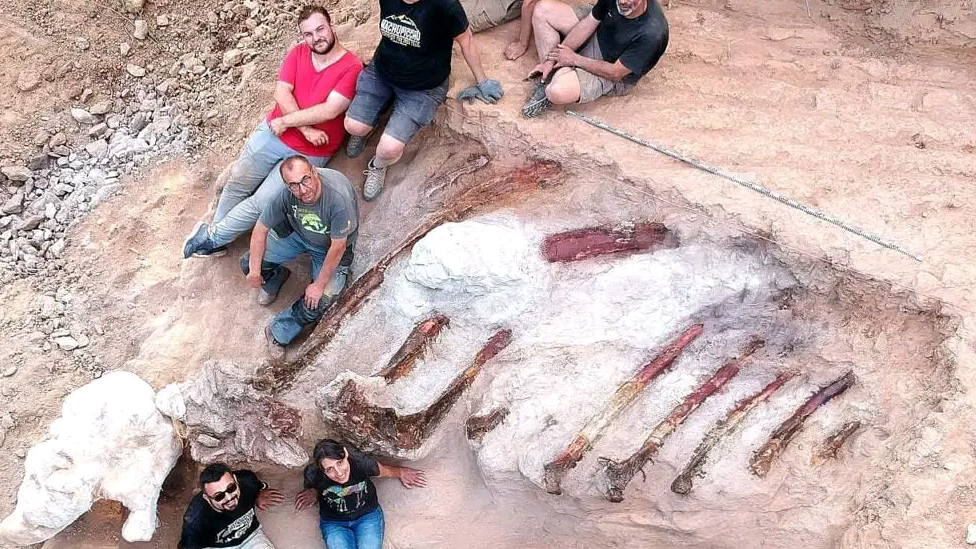 Huge Dinosaur Skeleton Unearthed in Portuguese Garden