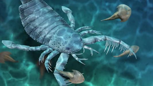 Dog-Sized Sea Scorpions Roamed Ancient Sea Floors in China as ‘Top Predators’, Study Shows