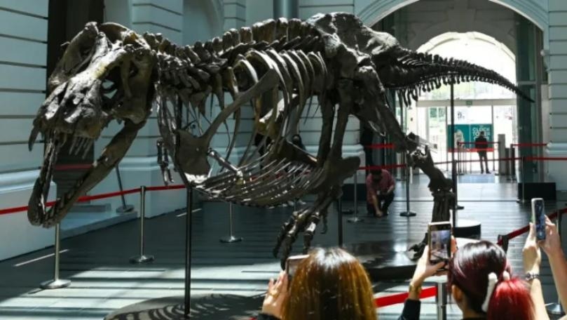 Main Highlight Image