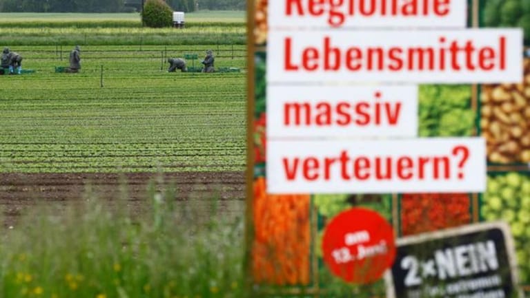 Swiss to vote on whether to become first European nation to ban synthetic pesticides