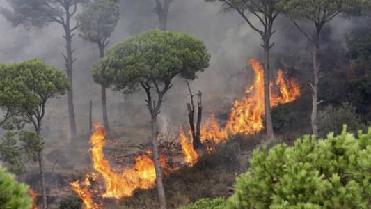 وزير البيئة يُعلن عن حملة للحدّ من حرائق الغابات