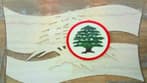 "القوّات": سجلّنا لا يحتاج شهادةً عن وطنيّته ولبنانيّته من أحد