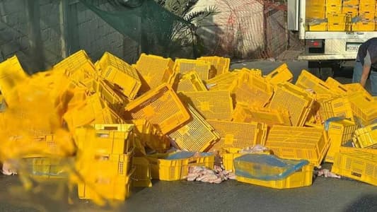 بالصّورة: دواجن مذبوحة تملأ الطّريق!