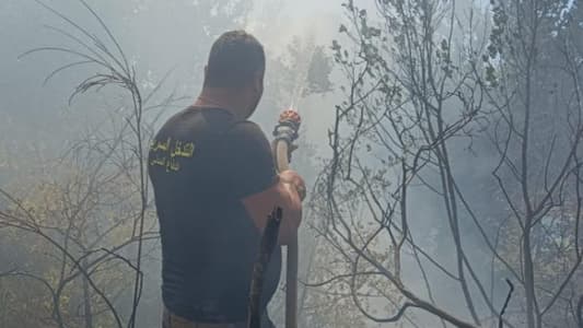 الدفاع المدني أخمد حريق أشجار في الوردانية