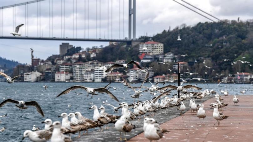 Turkey still sees 30 million tourists in 2021 if lockdown succeeds