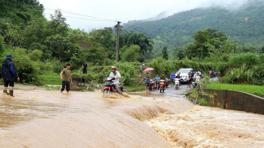 Vietnam landslides kill 11 after heavy rain