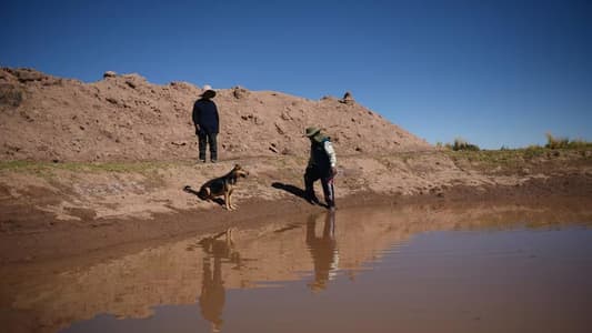 A farm in Bolivia's Andean plains grapples with hotter climate