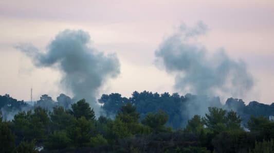 NNA: Israeli artillery shelling targeted several valleys and forests in the eastern sector, especially in Wadi Saluki, in the direction of Markaba and Houla
