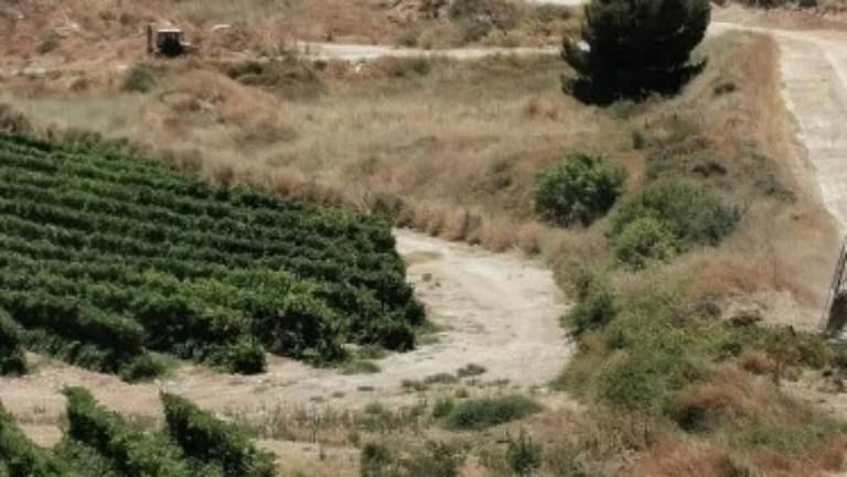 قوات اسرائيلية تقوم بمسح الطريق العسكرية في محيط موقع العباد