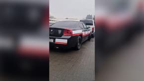 Watch: Lebanese Security Forces Logo on Police Car in Germany