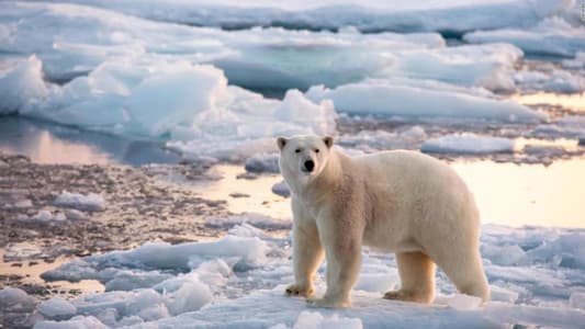 Arctic Ocean Began Warming Decades Earlier Than Previously Thought