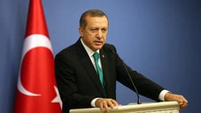 Erdogan tells UN's Guterres that Israel must be tried in international courts over Gaza crimes