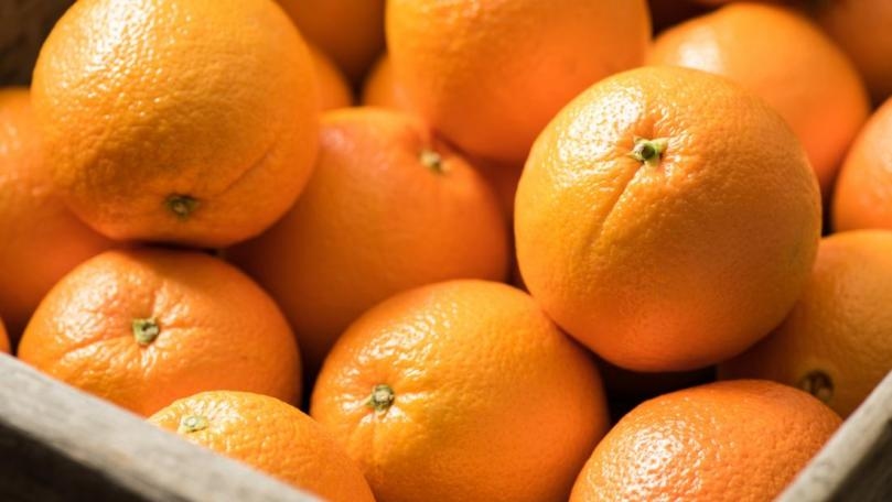 Saudi Arabia announces thwarting an attempt to smuggle more than 4.5 million Captagon tablets hidden in oranges