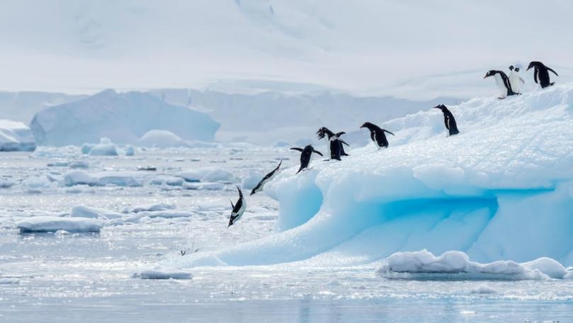 Pacific Islanders Likely Found Antarctica First, According to Study