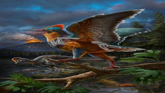 Jurassic Fossil from China Redefines Bird Evolution History