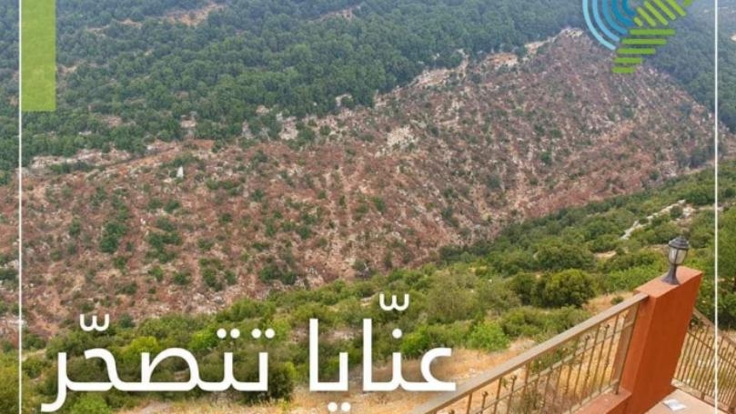 مجزرة بيئيّة... برسم وزير الزراعة!