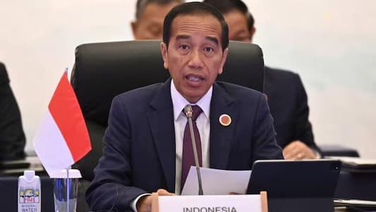 Indonesia president plans to work from new capital city in July