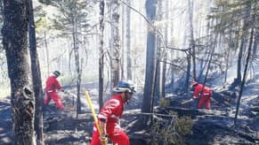 مقاطعة كيبيك الكندية تطلب دعمًا دوليًّا لمكافحة حرائق الغابات