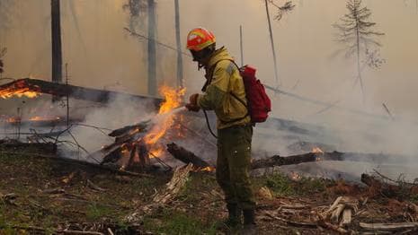 Russia battles forest fires amid another hot summer