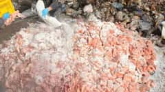 Watch: Authorities Seize Massive Haul of Spoiled Chicken