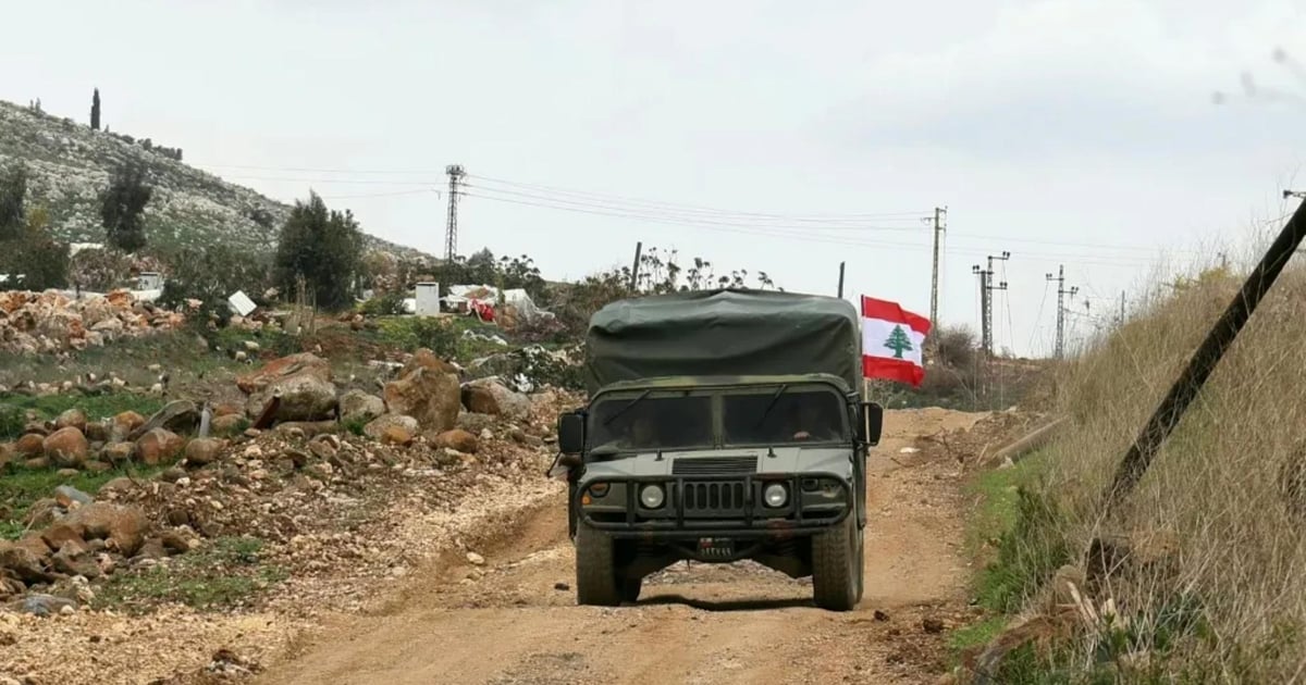 صورة الخبر