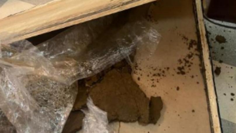 بالصّور: إحباط عمليّة تهريب مخدّرات إلى دولة أوروبية