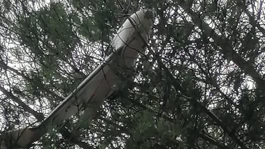 Sources to MTV: The drone that was found stuck in the trees in Ebel Al Saqi belongs to Hezbollah