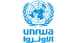 UNRWA: The senseless and relentless killing since the start of the war has led to the murder of at least 220 of our staff in Gaza