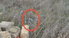 Watch: Drone Mission Fails