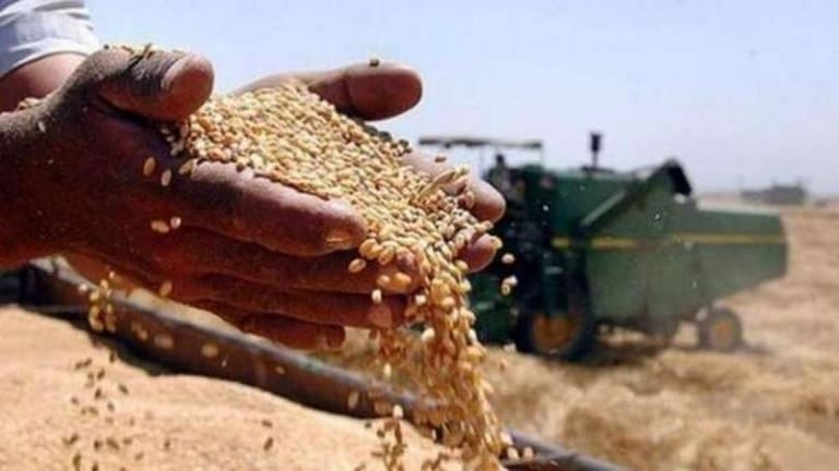 ارتفاع غير مسبوق لأسعار القمح.. من هم أكبر المصدرين والمستوردين والمنتجين؟
