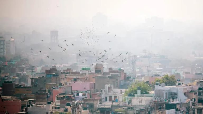 Air Pollution Caused 1.8 Million Excess Deaths in 2019, Study Finds