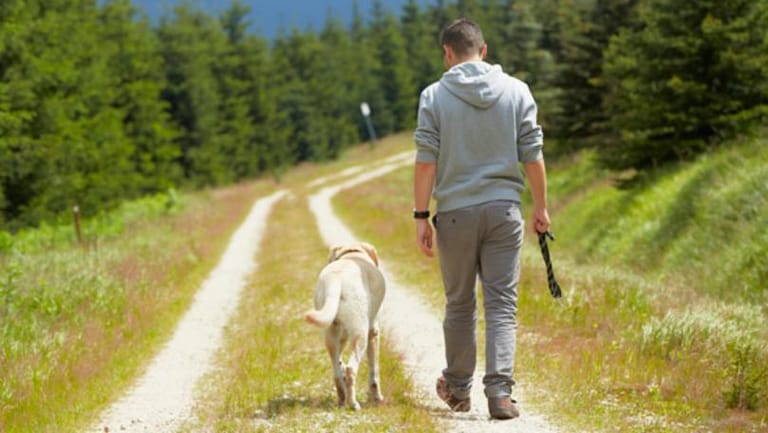 Taking Short Walks After Meals Helps Reduce Risk of Diabetes and Heart Problems, Study Finds