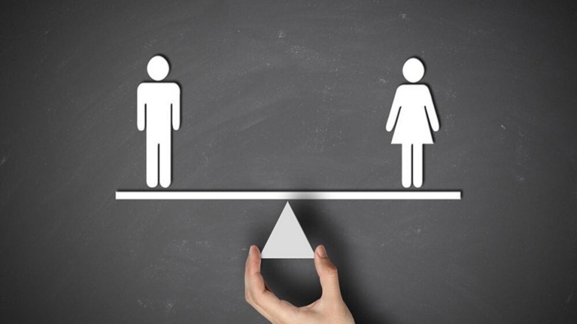 Main Highlight Image