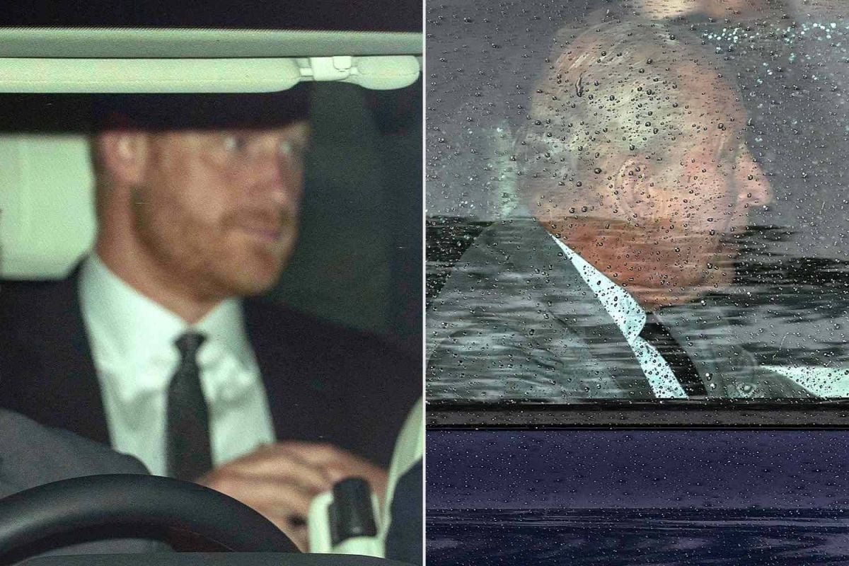 الأمير هاري يلتقي بالملك تشارلز للمرة الأولى منذ 18 شهراً