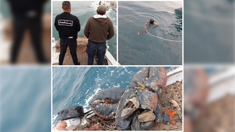 بالصور: حشيشة تحت الماء