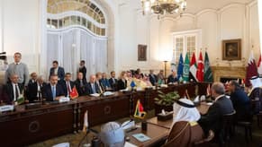 Arab-Islamic Ministerial Committee deplores renewed Israeli war on Gaza