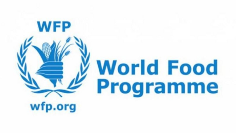 World Food Program: We are ready to provide assistance to Syria and Turkey after the earthquake, if needed