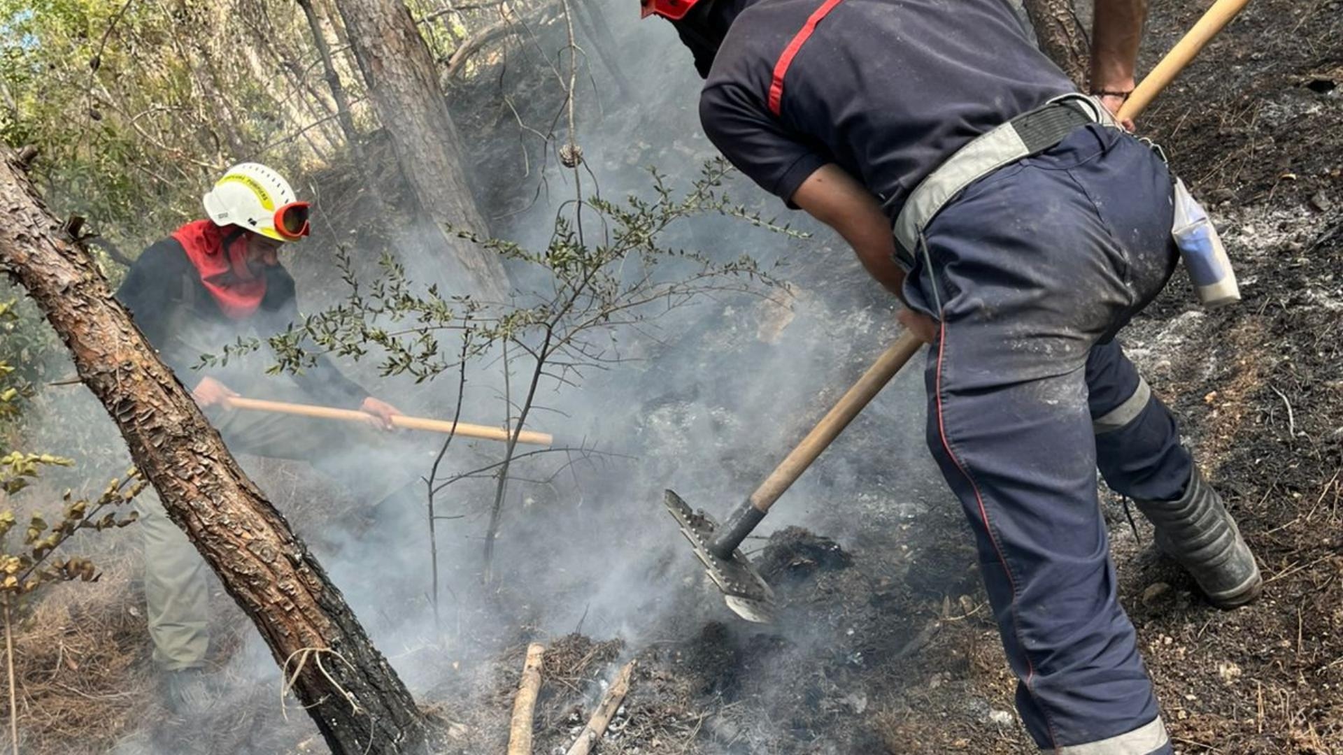 بعد جهود مكثّفة... الدفاع المدني يُسيطر على الحريق
