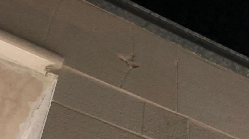 مسلحون أطلقوا النار ليلا على منزل ملازم