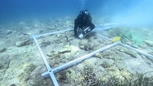 Archaeologist Discovers 6,000 Year-Old Island Settlement Off Croatian Coast