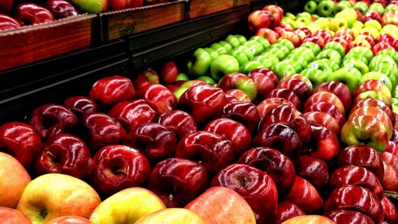 Main Highlight Image