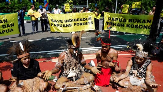 Papuan tribe, palm oil firms battle for land rights in Indonesian top court