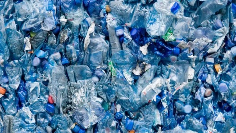 Scientists Convert Plastic Bottles Into Vanilla Flavouring for First Time