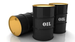 Oil price gains capped by demand fears