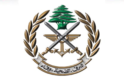 الجيش: انقاذ مواطن سقط من جرف صخري في حملايا