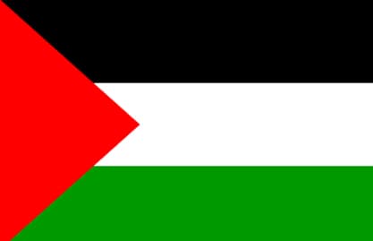 ابو ردينة: عباس سلم طلب عضوية دولة فلسطين في الامم المتحدة  لبان كي مون