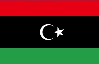 المجلس الوطني الانتقالي يبسط سيطرته على قصر ابو هادي مسقط رأس القذافي