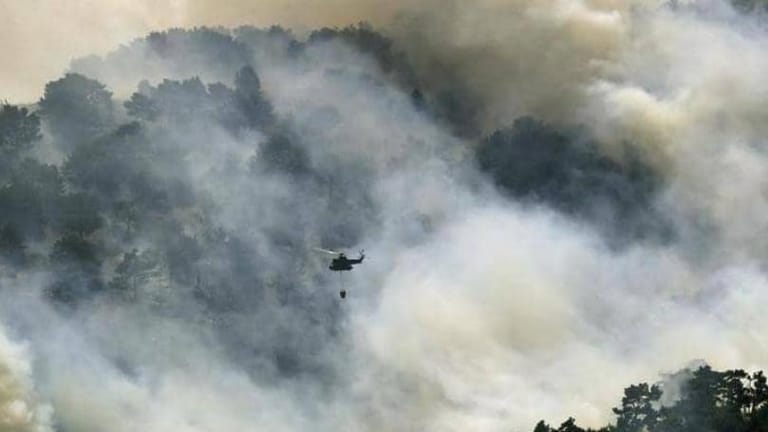 إطفاء طرابلس والدفاع المدني الفلسطيني ويمق يشاركون في إهماد الحرائق