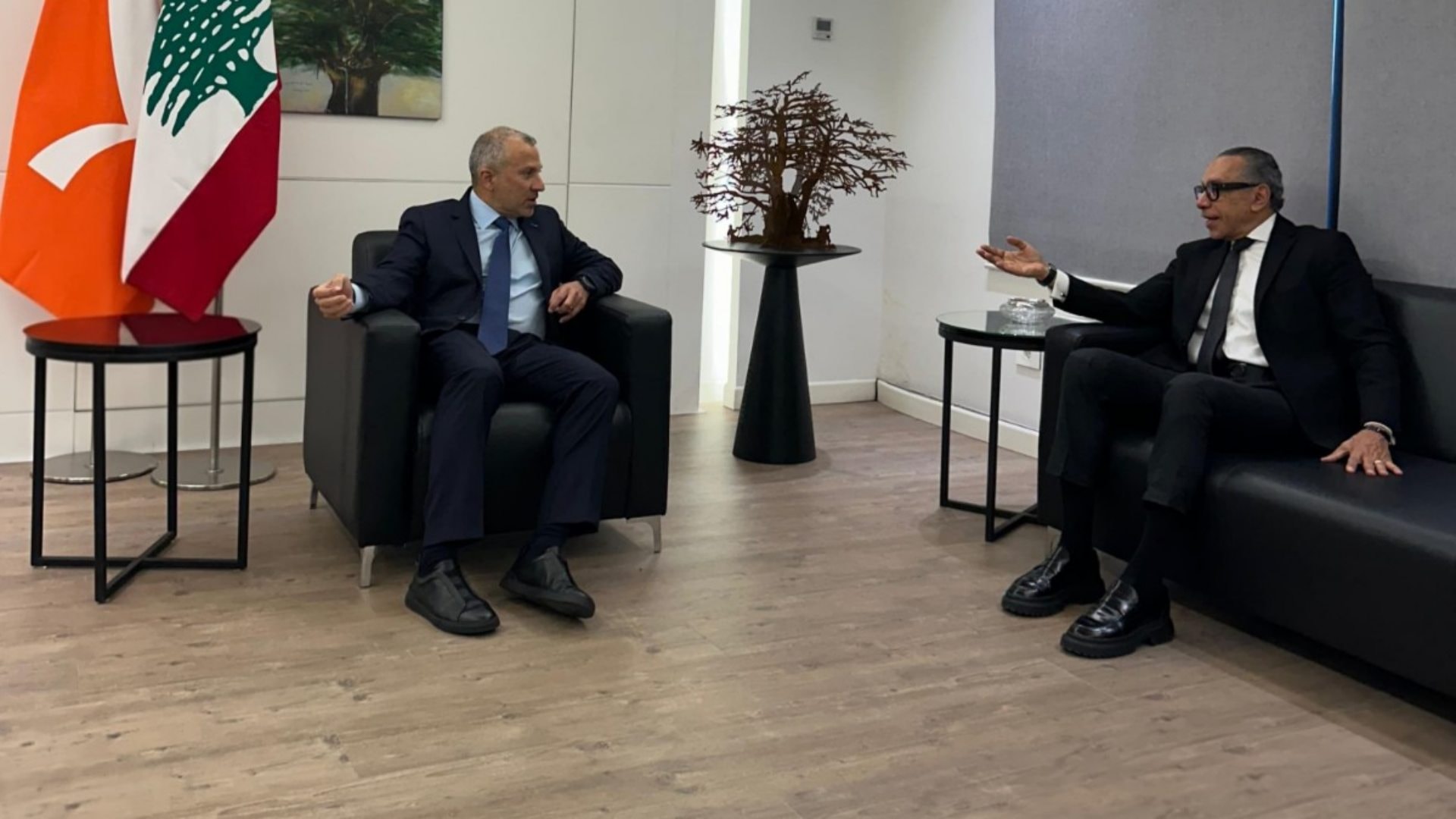 Bassil, Egyptian ambassador discuss ceasefire and relations - MTV Lebanon