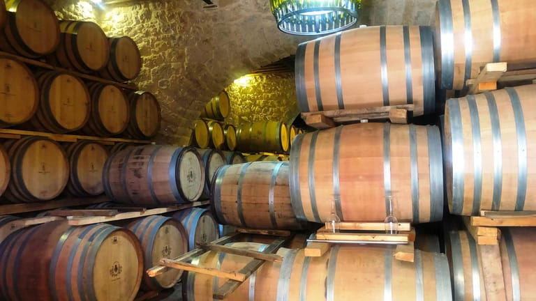 عاصمة الكرمة تتألّق عالميًا... وتُكرّم بلقب